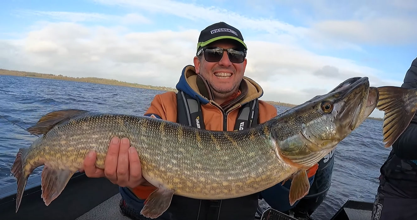 pike-ireland-esox-esox-lucius.jpg