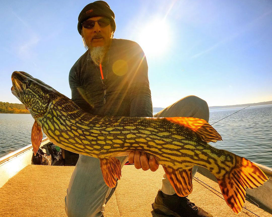 esox-flaviae-rare-pike-italy.jpg