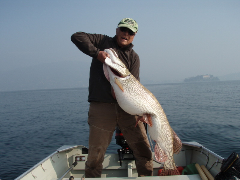 giant-northern-pike-big-belly.jpg