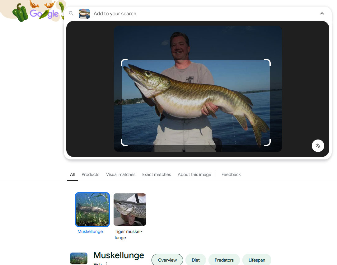 google-image-search-musky.jpg