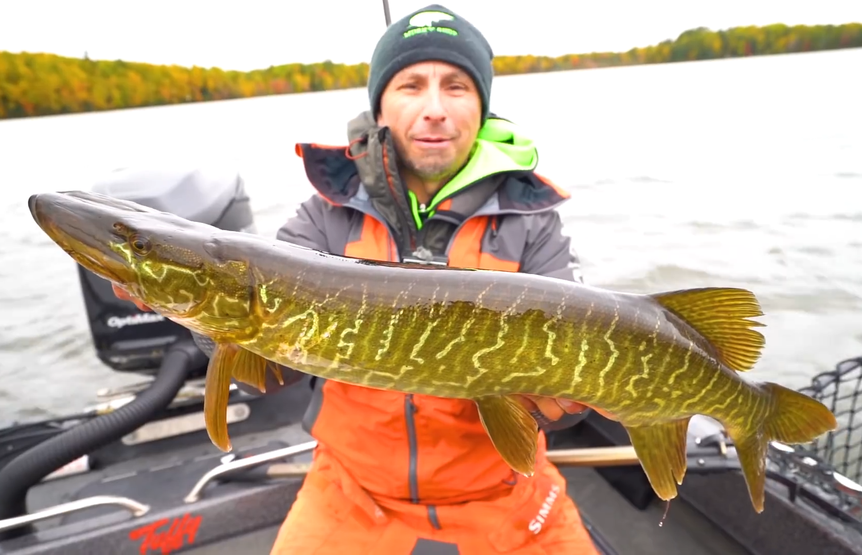 unique-rare-tiger-musky-wisconsin.png