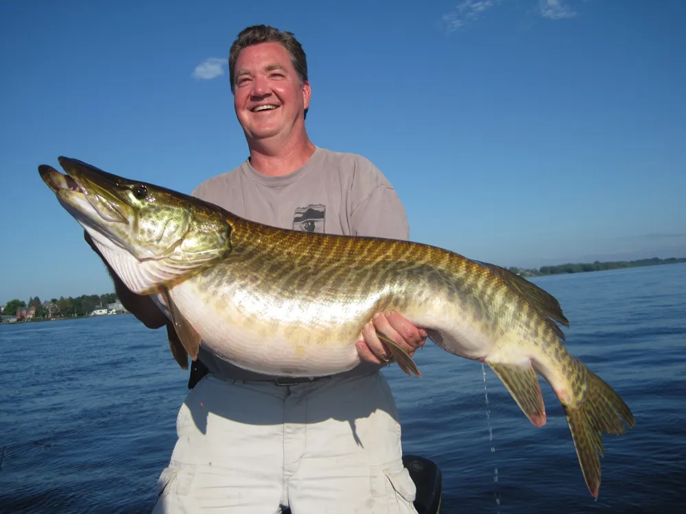 Thread '🇺🇸 Huge Tiger Musky with 28 1/2-inch Girth Possible World Record'