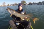 tiger-musky-trolling-hobie-kayak-lake-st-clair.jpg