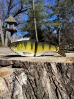 poseidon-swimbaits-trident-perch.jpg