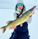 chain-pickerel-ice-fishing.jpg